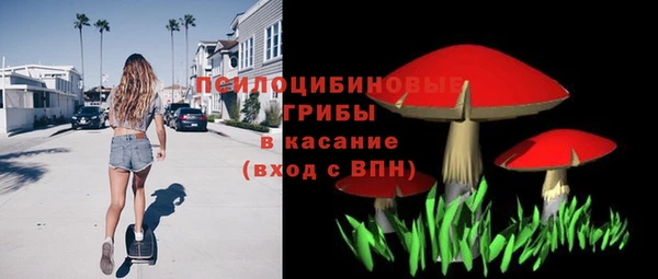 бошки Алзамай