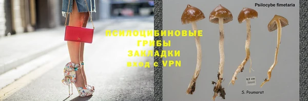 винт Алексин