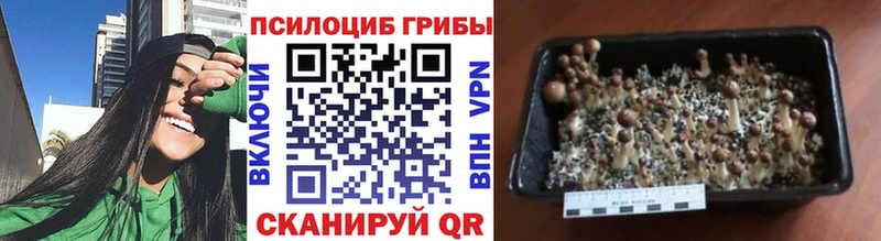 Галлюциногенные грибы ЛСД  где продают   Кемерово 